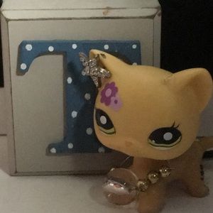 Meet your Posher, Trinity